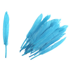 12 Large Feathers