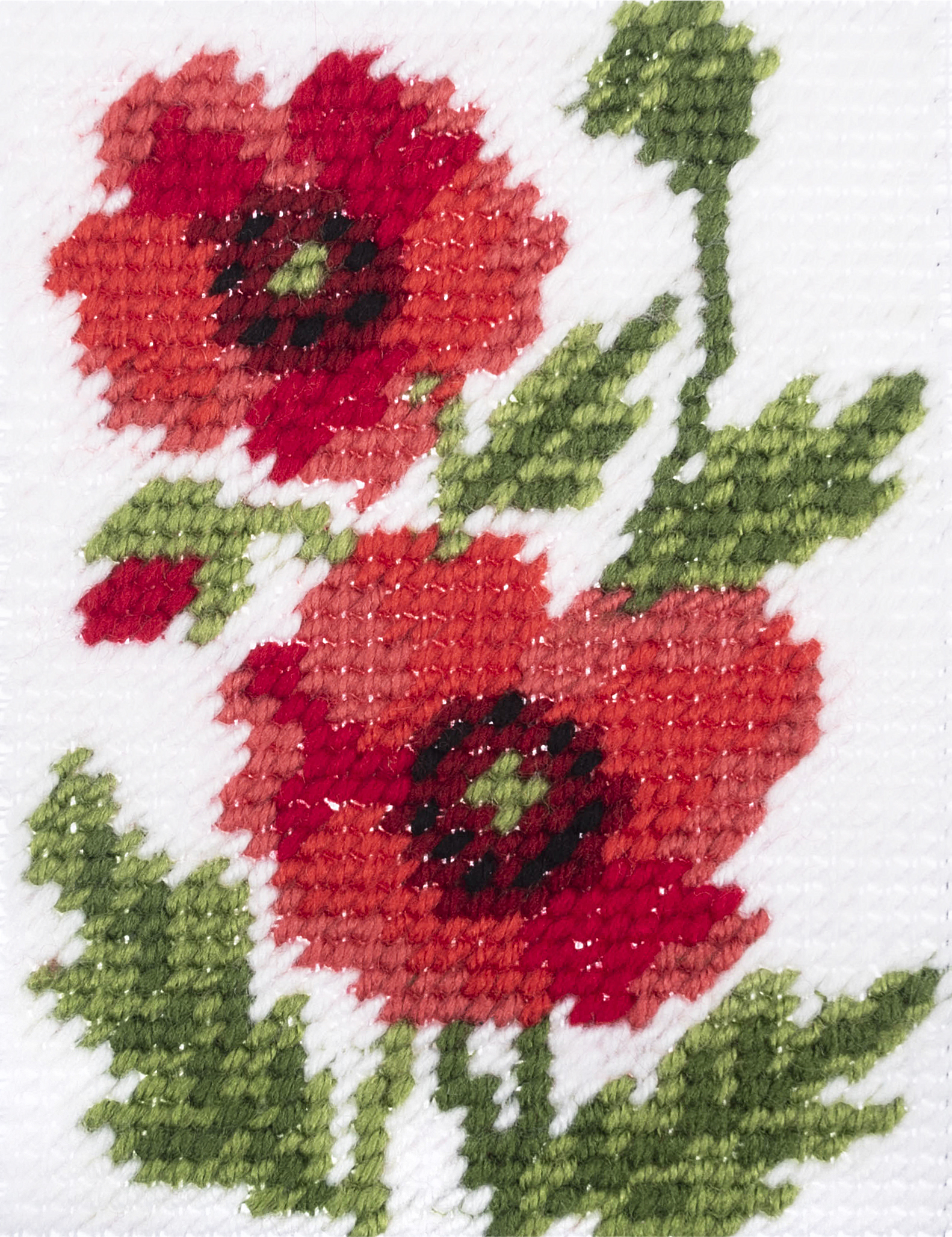 Half Stitch / Tapestry Kit: Poppies - Image 4