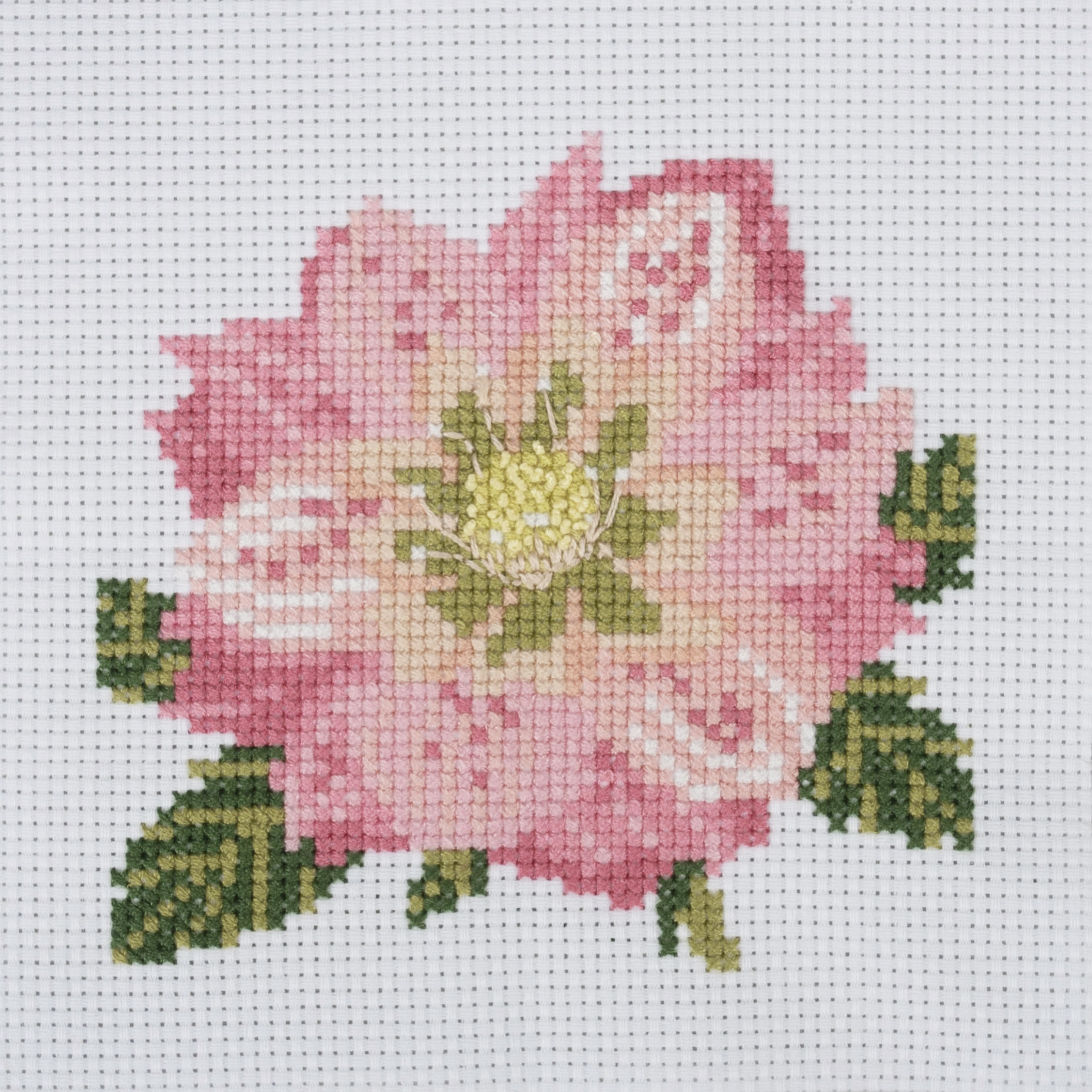 Counted Cross Stitch Kit: Mini: Hellebore - Image 3