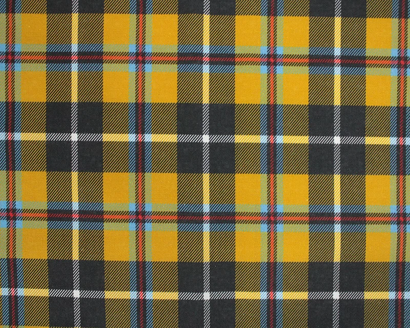 ES PC Cornish Tartan