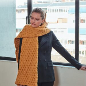 Scarf in Hayfield Bonus Chunky